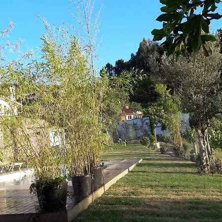 Charming House In Covelas With Shared Pool