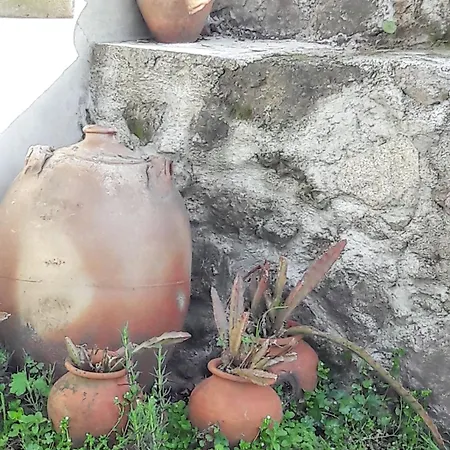 Charming House In Covelas With Shared Pool