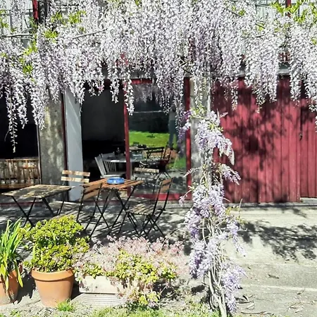 Charming House In Covelas With Shared Pool Póvoa de Lanhoso