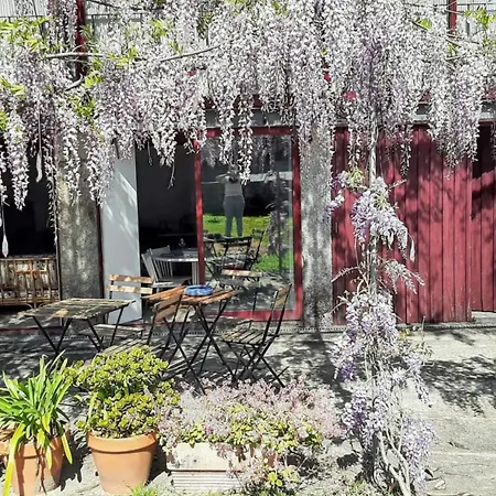 Charming House In Covelas With Shared Pool * Póvoa de Lanhoso