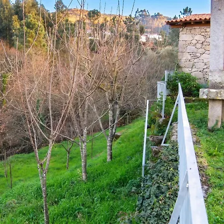 Charming House In Covelas With Shared Pool *