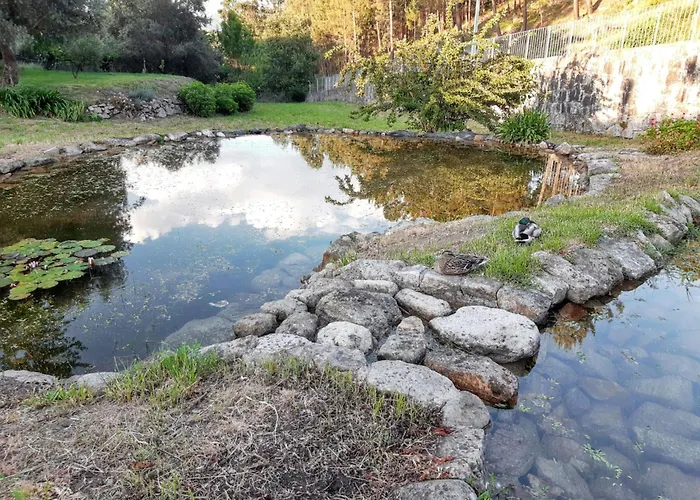 Charming House In Covelas With Shared Pool Póvoa de Lanhoso