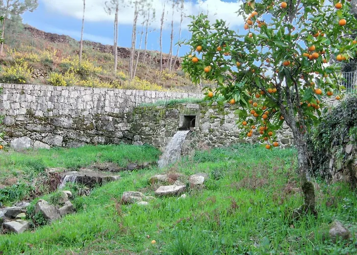 Charming House In Covelas With Shared Pool * Póvoa de Lanhoso