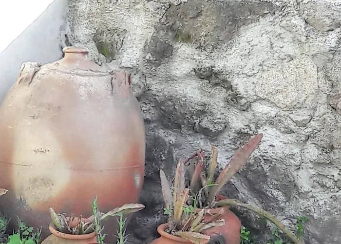 Charming House In Covelas With Shared Pool