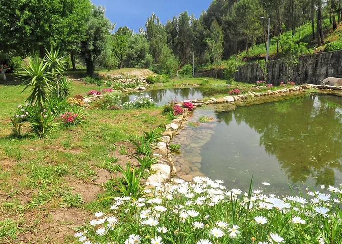 Charming House In Covelas With Shared Pool *